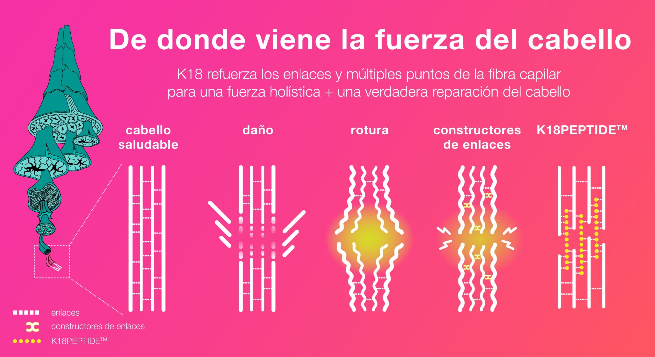 K-18 Máscara de Reparación del Daño a Nivel Molecular