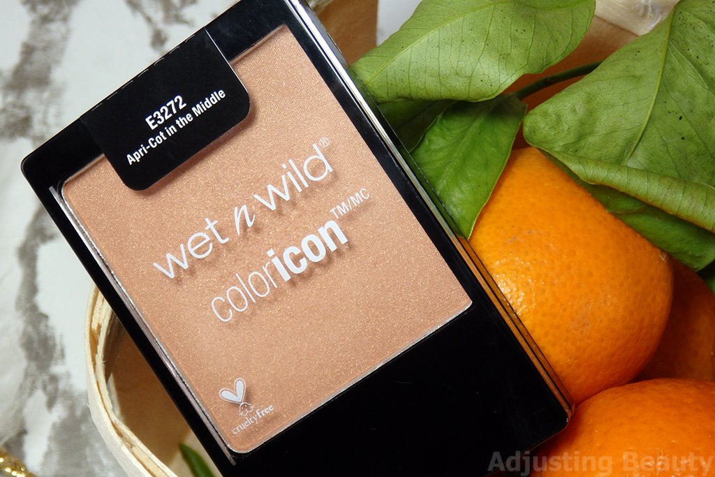 WET N WILD RUBOR COLORICON